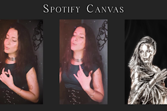 create a spotify canvas animation for your song