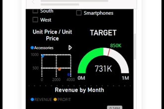create professional power bi dashboards and reports