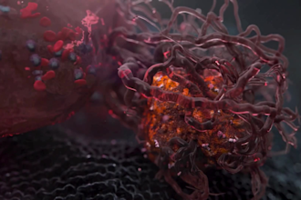 create 3d medical animation for cancer immunotherapy biotech pharmaceutical