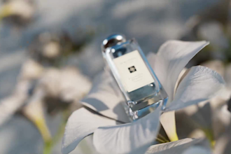 create luxury 3d perfume bottle animation and cgi perfume ads