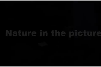 make your long form video