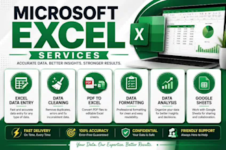 do microsoft excel data entry, data cleaning and formatting