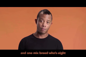 video transcription, lip reading, speech to text, lip syncing, video to text