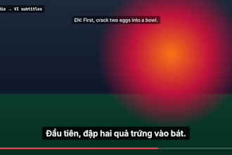 translate your english videos into vietnamese subtitles
