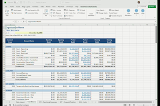 build custom excel add ins for nonprofit grant tracking and financial reporting