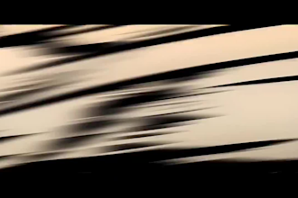 create high quality anime action animation and custom fight scenes for creators