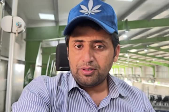 analyse your dairy herd