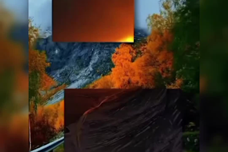 edit videos and create graphics for social media expert