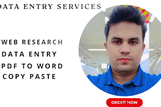 do professional data entry excel data entry and web reseach