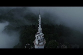 do professional video color grading and color correction
