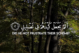 edit quran recitation videos