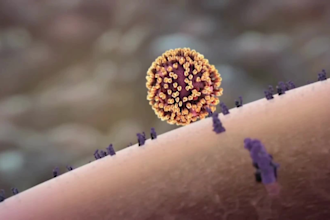 do 3d medical animation video, 3d medical virus, virus explain medical animation