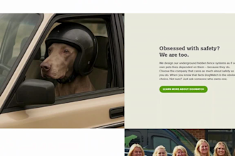 design a professional dog training website