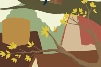 craft enchanting colorful illustrations and covers