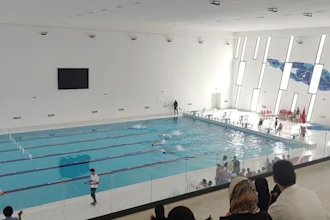 professional online swimming coach