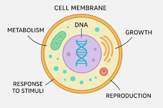teach gcse and ap biology clear easy tutoring
