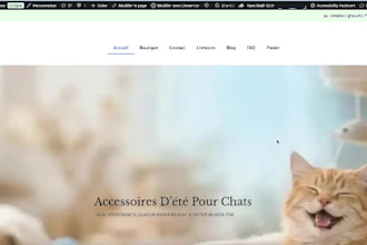 professional wordpress website setup