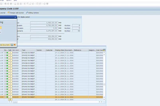 manage sap s4hana accounting and bookkeeping