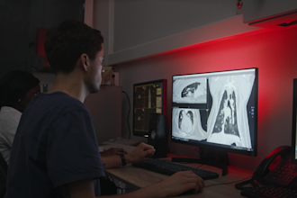 create 3d printable stl models from dog ct or mri scans