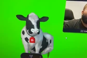 customize 3d vrm avatar