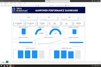 create professional excel mis reports and dashboards