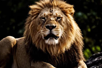 create viral ai animal fusion videos and ai cat videos for youtube shorts tiktok