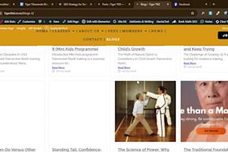 do wordpress changes or wordpress fixes, edits wordpress