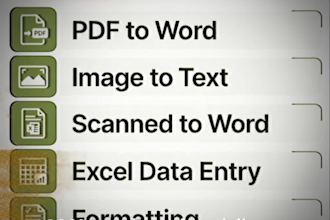 do fast copy typing, retype image to word and data typing