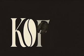 design brand identity kits, logo and motion design