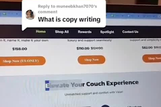 write professional assignments and copywriting content