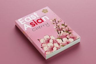 do original book cover design, ebook cover, kdp book cover