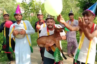 wish happy birthday video