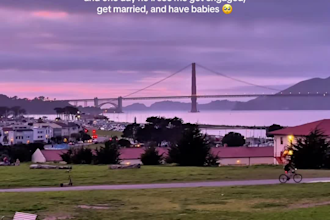 create ugc videos for beauty pet brands tiktok instagram reels ads