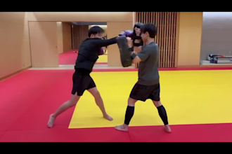 professionally translate english to japanese specialized in martial arts