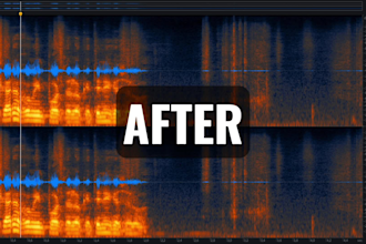 professionally restore and repair your damaged audio