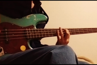 record professional bass guitar in slap finger or pick style