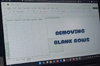 clean, format excel data