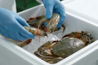 supply premium sri lankan seafood to worldwide buyers