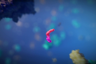 create professional 3d medical animation video 3d anatomy, biological video