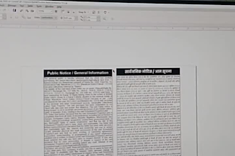 provide professional newspaper, advertising service