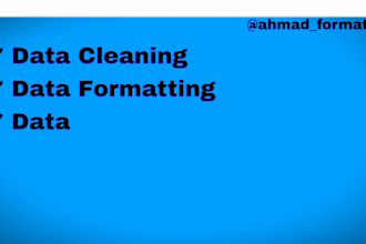 be your excel expert for data formatting and cleanup