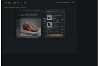 design and bulid a professional shopify store