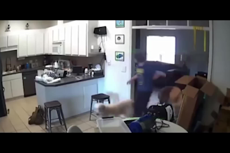 edit true crime bodycam videos like dr insanity