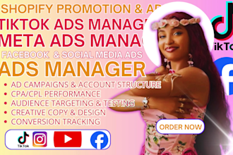 be your meta ads, instagram ads and facebook ads campaign manager shopify ads VA