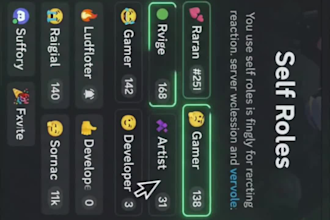 setup a profesional discord server with bots roles and permisions
