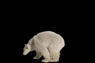 create realistic 3d wildlife animals model rigging animation animal creatures