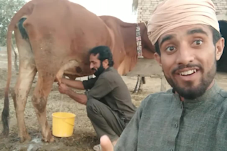 wish african happy birthday video or happy birthday video