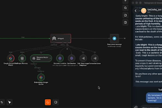 build ai automation workflows using n8n and python