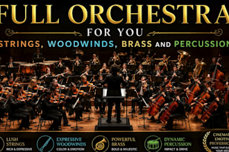 record live full orchestra for you strings, woodwinds, brass and percussion