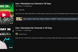 deliver a fully monetized youtube channel ready to earn
